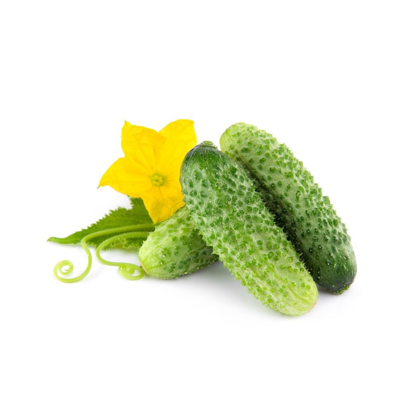 CUCUMBERS GHERKINS KG