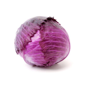 Cabbage Red Whole Panetta Mercato