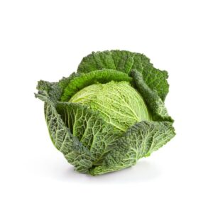 Cabbage Savoy Whole Panetta Mercato