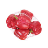 Capsicums Red 1kg Net Panetta Mercato