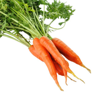 Carrots Dutch Bunch Panetta Mercato