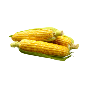 Corn Pkt (3 Pieces) Panetta Mercato