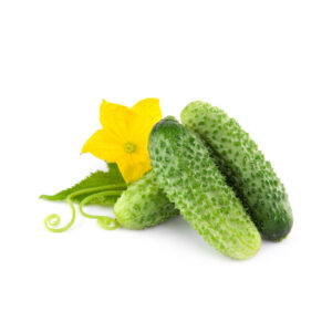 Cucumbers Gherkins Kg Panetta Mercato