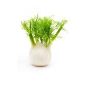 Fennel Each Panetta Mercato