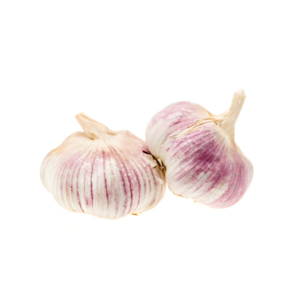 Garlic Bulb Ea Panetta Mercato