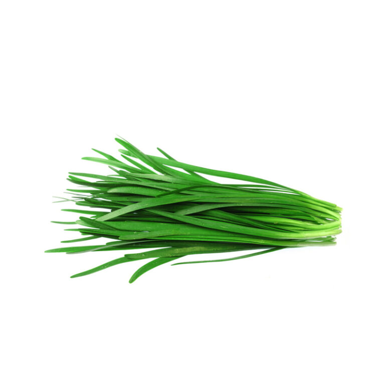 Garlic Chives Bunch