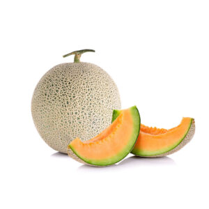 Melon Rockmelon Large Each Panetta Mercato