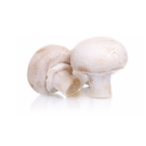 Mushrooms Button Kg Panneta Mercato