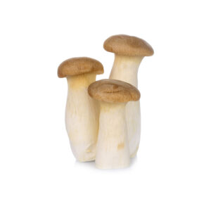 Mushrooms King Oysters 400g Pkt Panneta Mercato