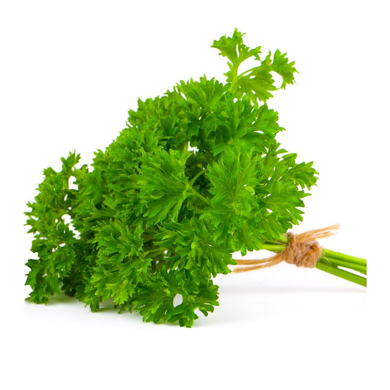 CURLY PARSLEY