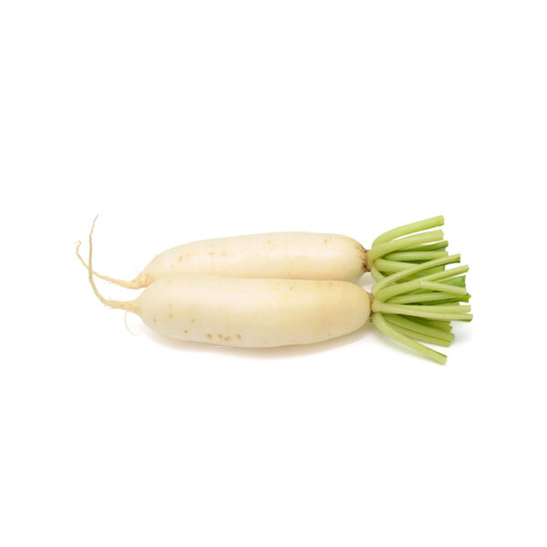 Radish White (Daikon) Each Panetta Mercato