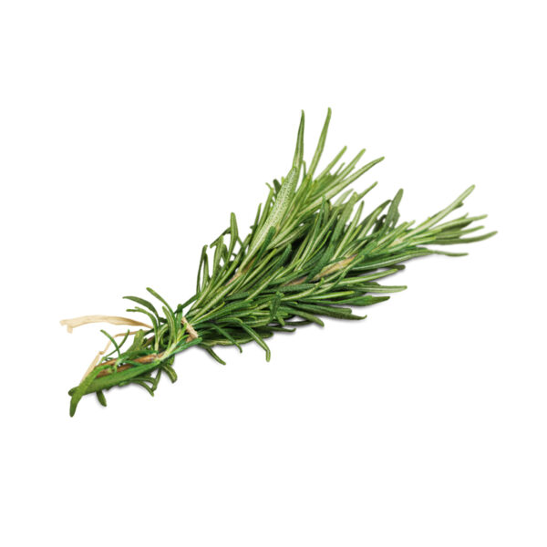 Rosemary 20g Pkt Panneta Mercato