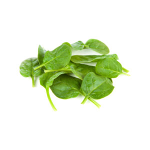 Salad Baby Spinach Clam 100g Panetta Mercato
