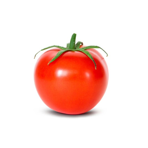 Tomatoes Round Kg Panetta Mercato