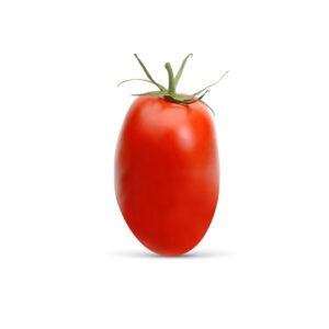 Tomatoes Roma 1kg Pkt Panetta Mercato