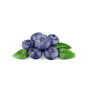 Blueberries Jumbo Punnet 125g Panetta Mercato