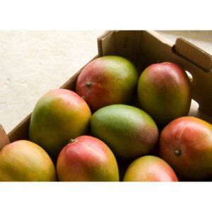 Mango Kensington Pride Case Panetta Mercato