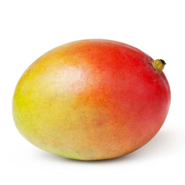 Mango R2e2 Each Panetta Mercato