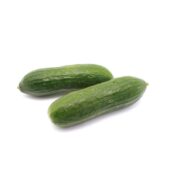 Cucumbers Lebanese Pkt Min. 1kg Panetta Mercato