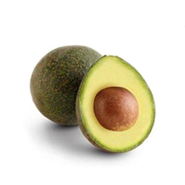 AVOCADO REED Panetta Mercato