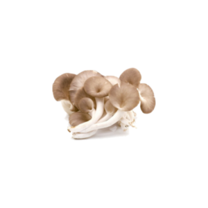 Mushrooms Pearl 400g Pkt Panetta Mercato